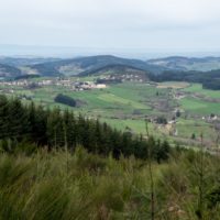 20180408 '18 Trail des Sangliers - 35km - Pierrier